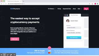 How to accept Bitcoin Payments  Crypto Payment Gateway  NOWPayments [upl. by Geiger509]