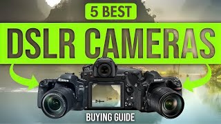 5 Best DSLR Cameras In 2023 [upl. by Michaeu]