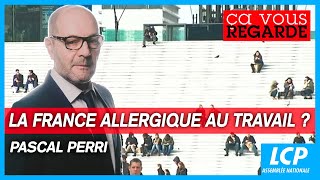 Pascal Perri  la France allergique au travail   quotÇa vous regardequot  26092023 [upl. by Ayenat]