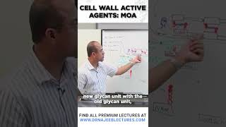 Cell wall Active Agents MOA drnajeeb drnajeeblectures shortvideostatus [upl. by Ahsinot945]