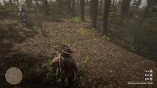 Red Dead Redemption 2  RDR2  NORTHERN COPPERHEAD SNAKE  LOCATION  ZOOLOGIST 139  SKIN DEEP [upl. by Brenna]