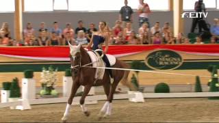 FEI European Vaulting Championships 2013  Female Junior Compulsory 1st Place  Daniela Fritz [upl. by Arreip496]