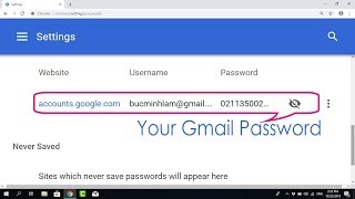 How to Show Gmail Password in Google Chrome  NETVN [upl. by Danais502]