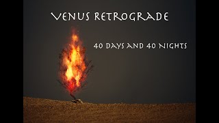 Venus Retrograde 40 Days and 40 Nights [upl. by Lauer]