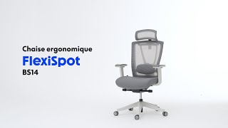 FlexiSpot  Discover Professional Comfort  BS14 Ergonomic Chair [upl. by Enixam]