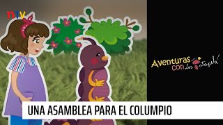 Aventuras con los Patapelá en NTV Capítulo 9 quotUna asamblea para el columpioquot [upl. by Eus269]