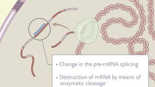 Treating Disease at the RNA Level with Oligonucleotides [upl. by Marcelia]