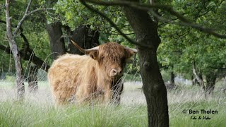 Noord Drenthe [upl. by Ternan]