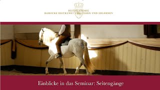 Online Seminar Seitengänge Trailer  Fürstliche Hofreitschule Bückeburg [upl. by Purington]