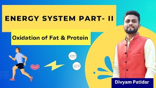 Energy System II Oxidation of Fat amp Protein  Aerobic Energy System  Exercise Physiology By Divyam [upl. by Leunad218]