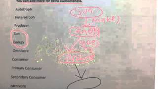 Ecology concept map Help Video [upl. by Noell]