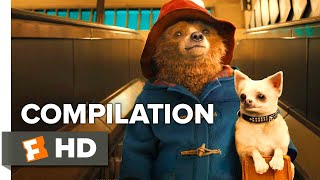 Paddington  Paddington Transforms The Prison  Paddington 2 Movie [upl. by Dnalel]