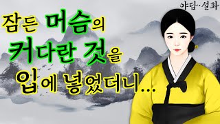 176 잠든 머슴의 커다란 것을 입에 넣었더니 야담·민담·전설·설화·옛날이야기 [upl. by Happ]