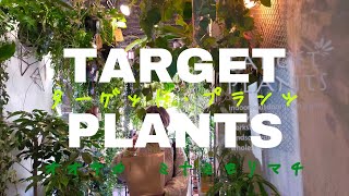 大阪 南森町の隠れ家植物ショップ【TARGET PLANTS】ターゲットプランツ [upl. by Ikkela]