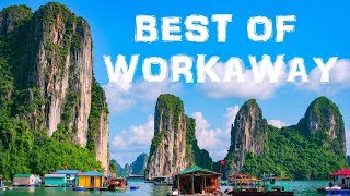 10 Best Workaway Experiences  Best Hosts on Workaway [upl. by Ymerej]