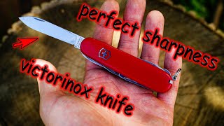 Perfect sharpness of a Victorinox knife without special sharpeners [upl. by Jeth279]