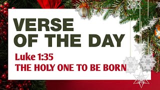 The Holy One to Be Born  Bible Verse of the Day  December 4 2024 [upl. by Kristie]