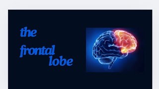 the frontal lobe [upl. by Kalie]