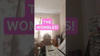 THE WOMBLES THEME MR OWLS FAVOURITE TUNE [upl. by Eunice]