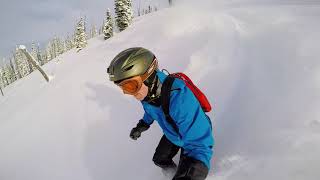 CMH Heli Skiing Compilation 2020 [upl. by Arodnap946]