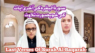 Surah Baqarah  Most beautiful Recitation  Last two Verses By Saim Quran Reciter [upl. by Sondra]