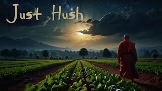 Just Hush [upl. by Seravat]