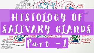 Histology of Salivary Glands  Part 1 [upl. by Ailalue]