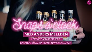 Prova snaps med Vinguiden amp Anders Melldén [upl. by Na]