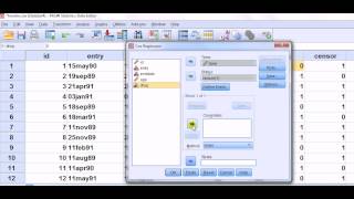 SPSS nominal explanatory variable in the Cox proportional hazard model [upl. by Carpenter567]