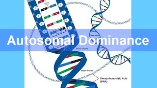 Autosomal Dominance Inheritance updated [upl. by Marguerita]