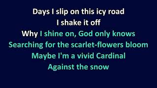 quotAgainst the Snowquot Song Karaoke link in description box [upl. by Mussman224]