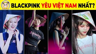 5 Lý Do BLACKPINK Yêu VBlinks Nhất Và 9 Kỷ Niệm Của BLACKPINK Tại VIETNAM Khiến Fan Quốc Tế Ganh Tị [upl. by Namaj]