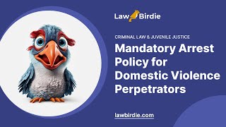 Mandatory Arrest Policy for Domestic Violence Perpetrators  Essay Example [upl. by Rukna266]