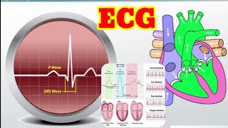 ECG Test in Hindi  ईसीजी टेस्ट क्या है  Electrocardiogram [upl. by Drofyar831]