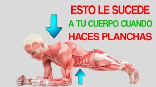 ✅Esto le Sucede a la Grasa de Tu Estómago Cuando Haces PLANCHAS 5 Razones para Hacer Plancha [upl. by Itsud]