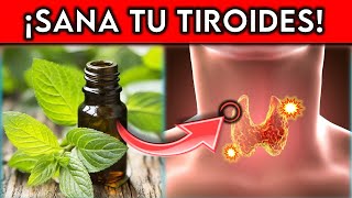 La VITAMINA Nº1 que tu TIROIDES necesita [upl. by Moriah]