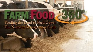 Feeding the Land to Feed Cows The Nutrient Management Cycle [upl. by Dallas989]