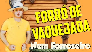 FORRÓ DE VAQUEJADA  Nem Forrozeiro [upl. by Leirbaj]