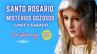 🙏​Santo Rosario en Audio  Misterios Gozosos  Lunes y Sábado🙏​ [upl. by Odlabu954]