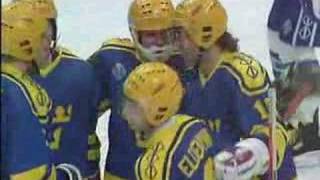 HockeyVM 1989  Det bästa från Tre Kronor [upl. by Eatton]