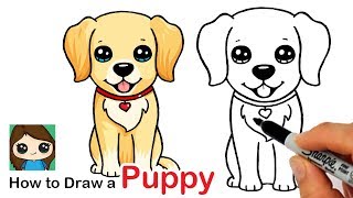 How to Draw a Labrador  Golden Retriever Puppy Easy [upl. by Aeila523]