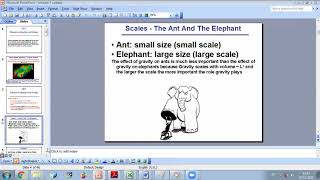 Dimensionless Analysis  Part 1 [upl. by Menard]