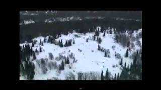 Dog Sledding  Music video SHORT [upl. by Dame]