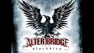 Alter Bridge  Coming Home  Lyrics [upl. by Bej34]