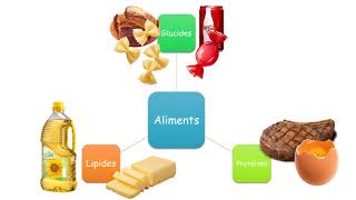 5ème – Alimentation et énergie [upl. by Hsenid759]