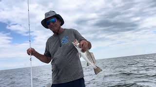 Lots of bait still holding fish in the Mississippi Sound [upl. by Boor]