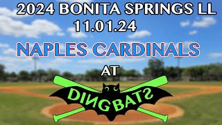 110124 Naples Cardinals At Bonita DingBats [upl. by Whiffen]