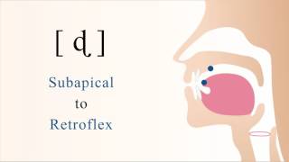 ɖ  voiced unaspirated subapical retroflex stop [upl. by Odnalro]