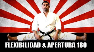 Desarrollando Elasticidad y Flexibilidad para las Artes Marciales  Como Abrirse de piernas en días [upl. by Finnie946]