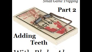 How to use a rat trap to catch small game  Part 2 [upl. by Conlan]